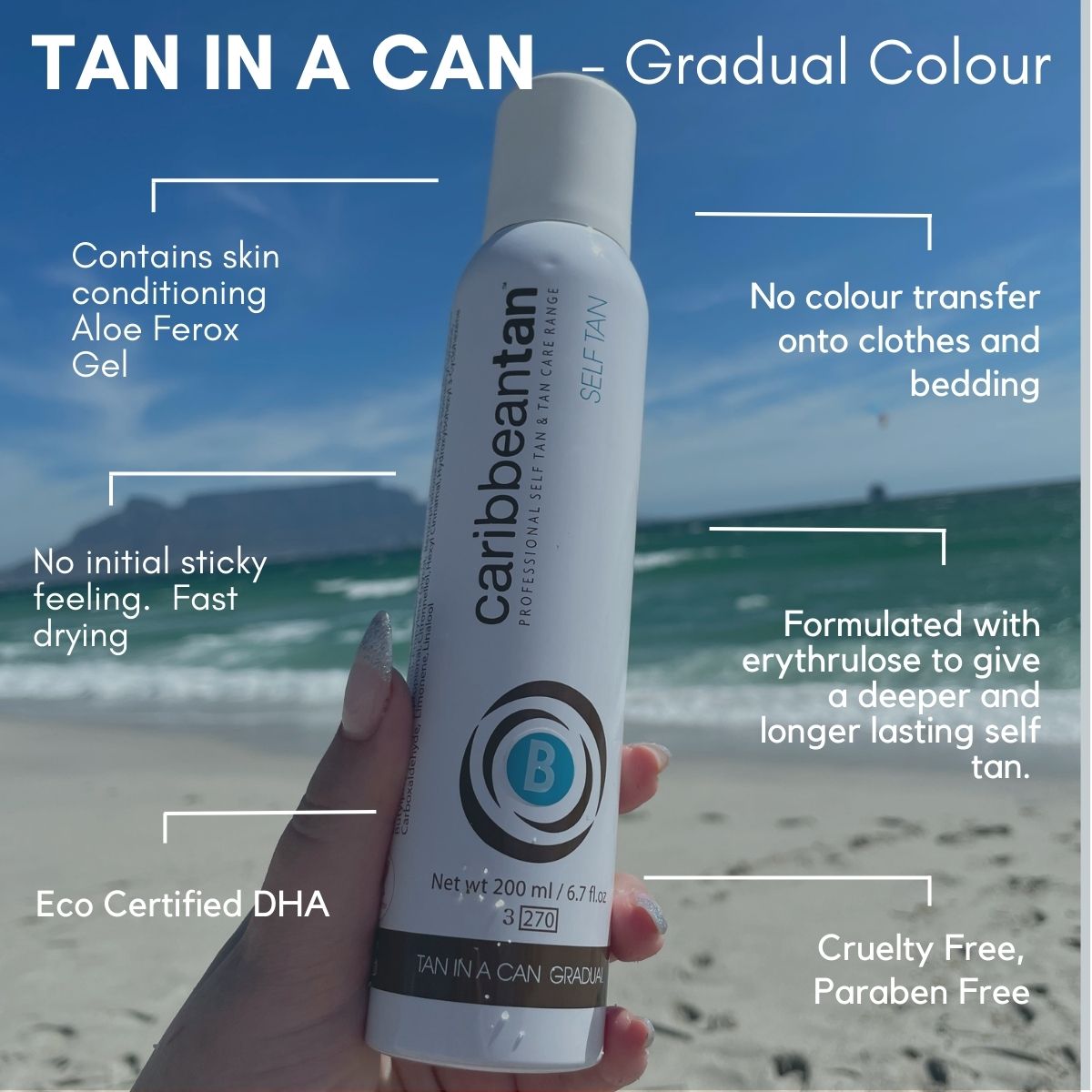 Tan In A Can Aerosol - Gradual Self Tan - 200ml